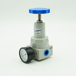 Filter, pressure reducing valve