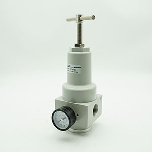 Filter, pressure reducing valve